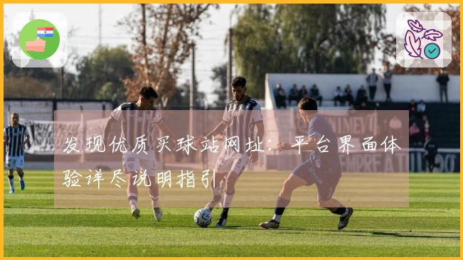 发现优质买球站网址：平台界面体验详尽说明指引