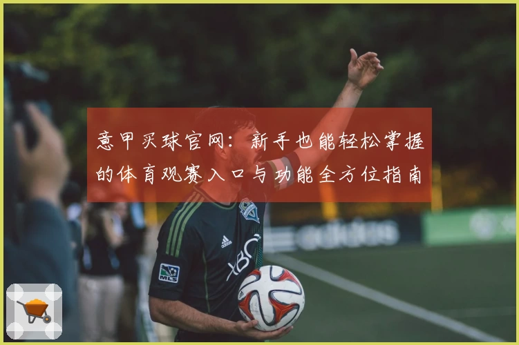 意甲买球官网：新手也能轻松掌握的体育观赛入口与功能全方位指南
